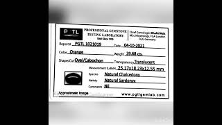 PGTL1021019