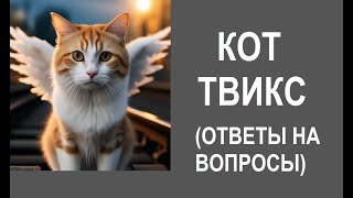 Кот Твикс  Реинкарнация  Ответы на вопросы