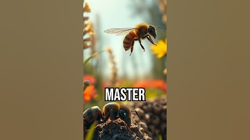 Discover the power of unity! #inspiration #teamwork #nature
