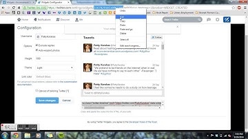 How to Make a Twitter Widget on Wordpress