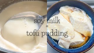 Tofu Pudding (Dou Hua) & Soy Milk Recipe | 2-Ingredients