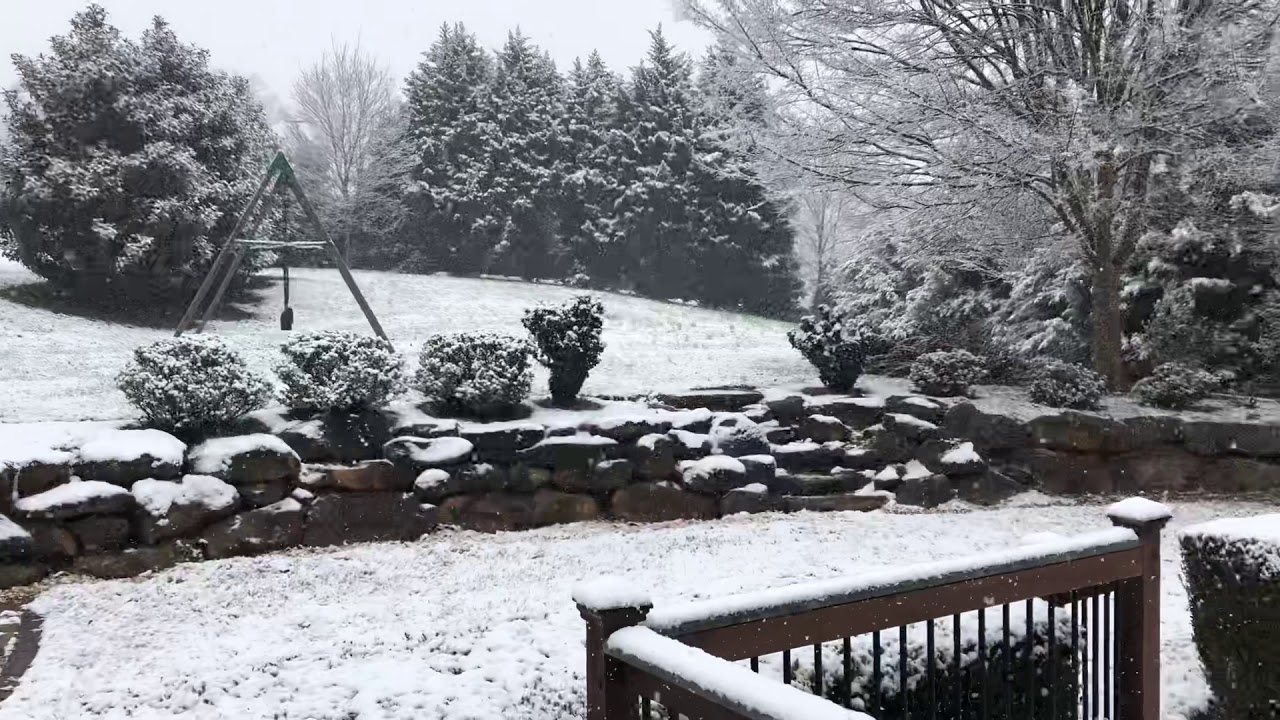 February 8th, 2020 Snowfall in Powdersville, SC YouTube