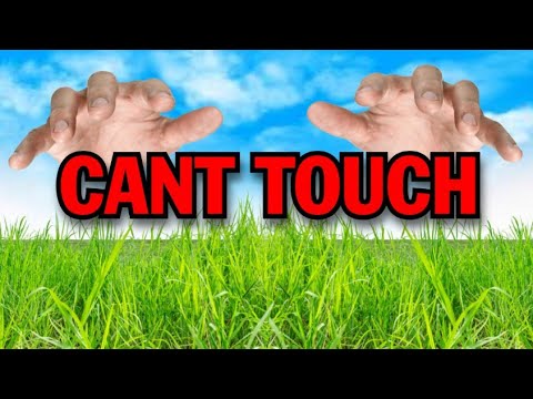 FORTNITE BUT I CANT TOUCH GRASS