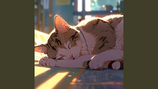 Slow Drifting Lo Fi Thoughts