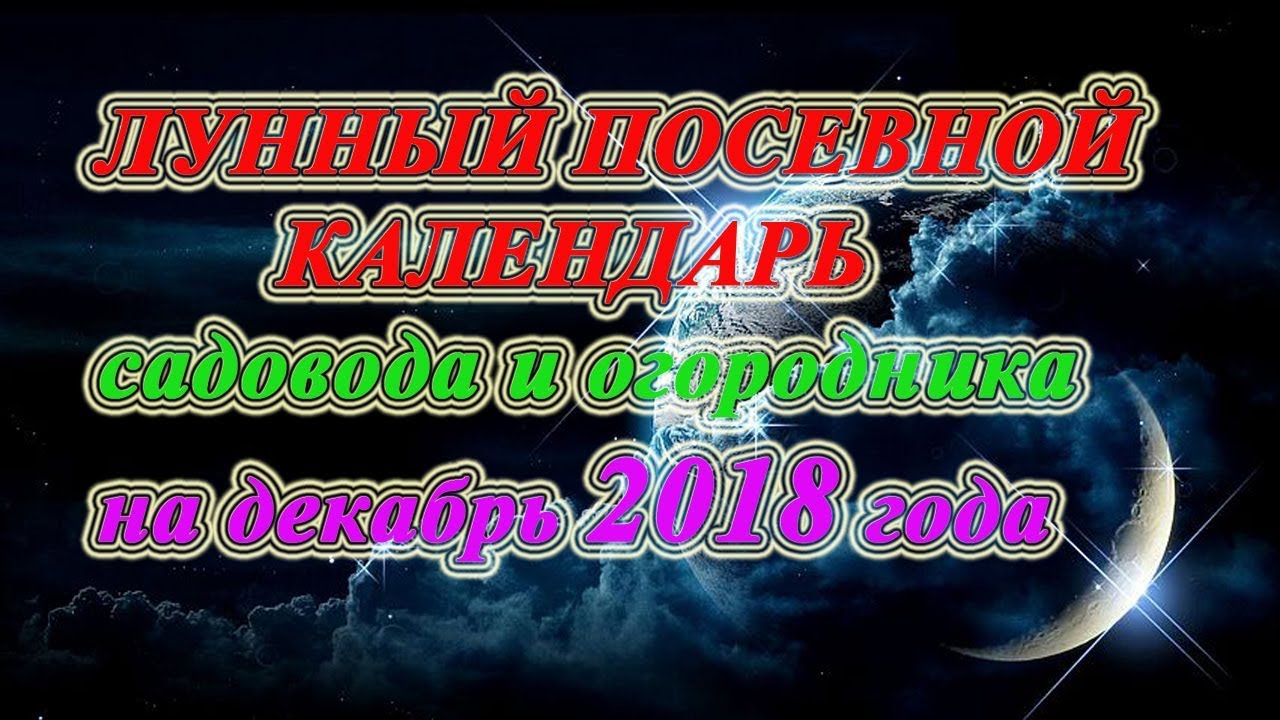Что ждать от лета 2019 новейшие фото Что ждать от лета 2019 новое фото