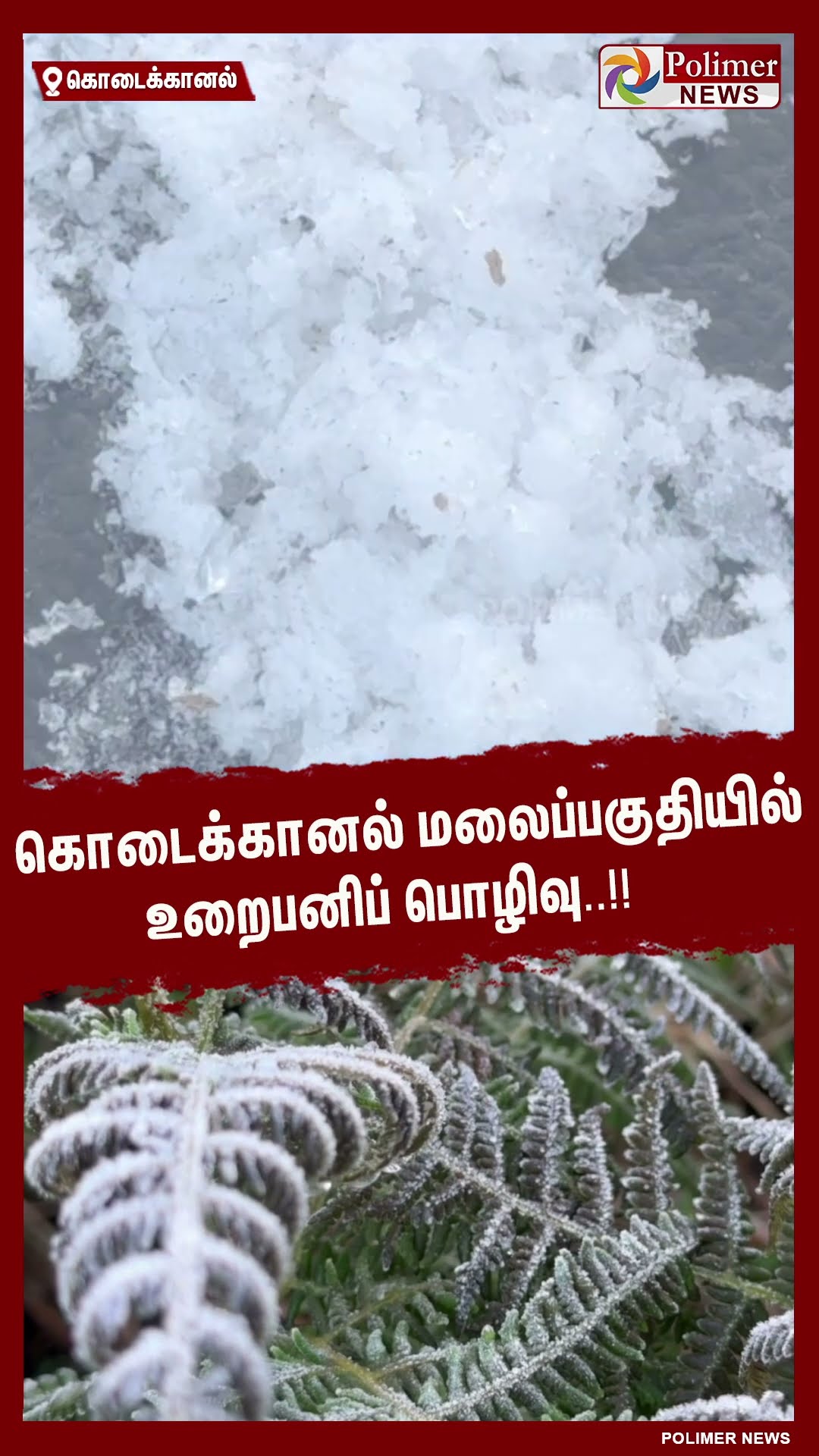 கொடைக்கானல் மலைப்பகுதியில் உறைபனிப் பொழிவு..!! #shorts