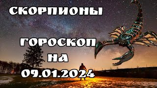 РЕАЛЬНЫЙ ГОРОСКОП /  СКОРПИОНЫ / 09.01.2024