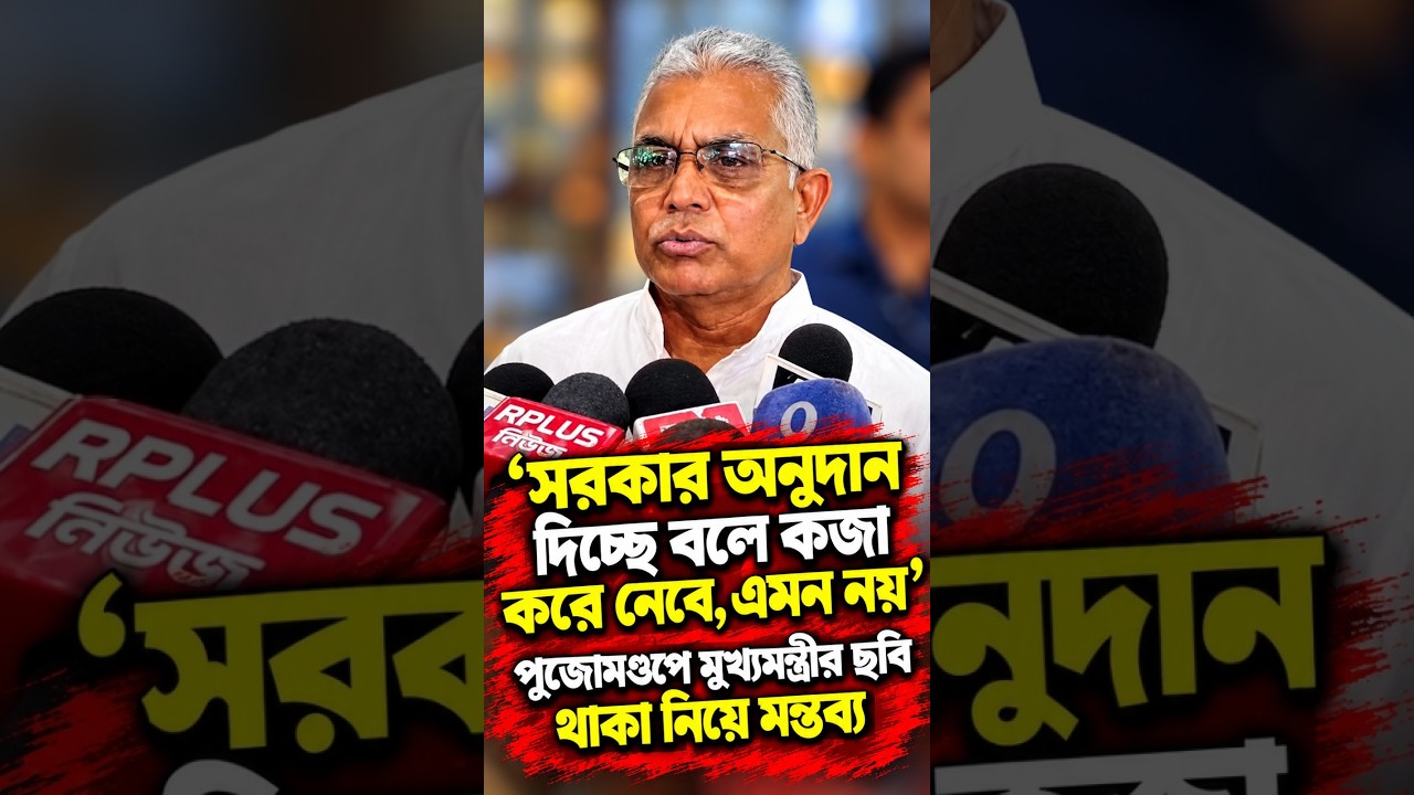 'সরকার অনুদান দিচ্ছে বলে কব্জা করে নেবে, এমন নয়' পুজোমণ্ডপে মুখ্যমন্ত্রীর ছবি থাকা নিয়ে মন্তব্য