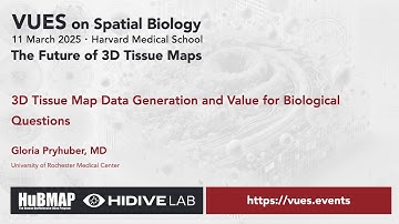 VUES on Spatial Biology - March 2025, Gloria Pryhuber, MD