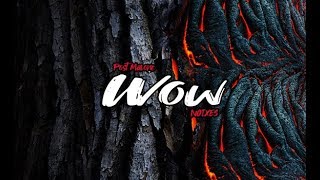 Post Malone - Wow (NOIXES Trap Remix) News