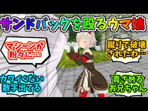 トレセンのサンドバックでパンチ力を競うウマ娘たちに対するみんなの反応【サトノダイヤモンド】【カレンチャン】【マチカネタンホイザ】【キングヘイロー】【ウマ娘】【ウマ娘プリティダービー】