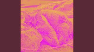 Cool Backdrops for Lush Kittens
