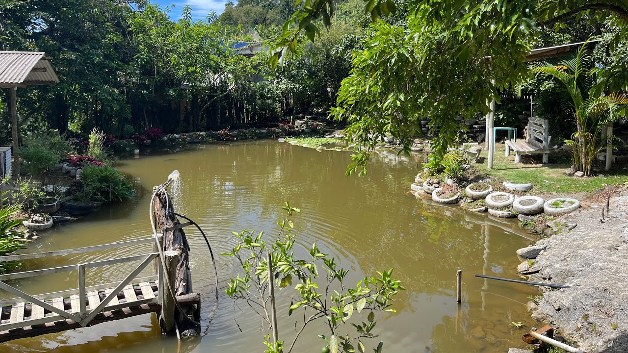 CHÁCARA DOS SONHOS: 1.500 M² EM BAIRRO PRIVILEGIADO E COM FÁCIL ACESSO R$600 MIL