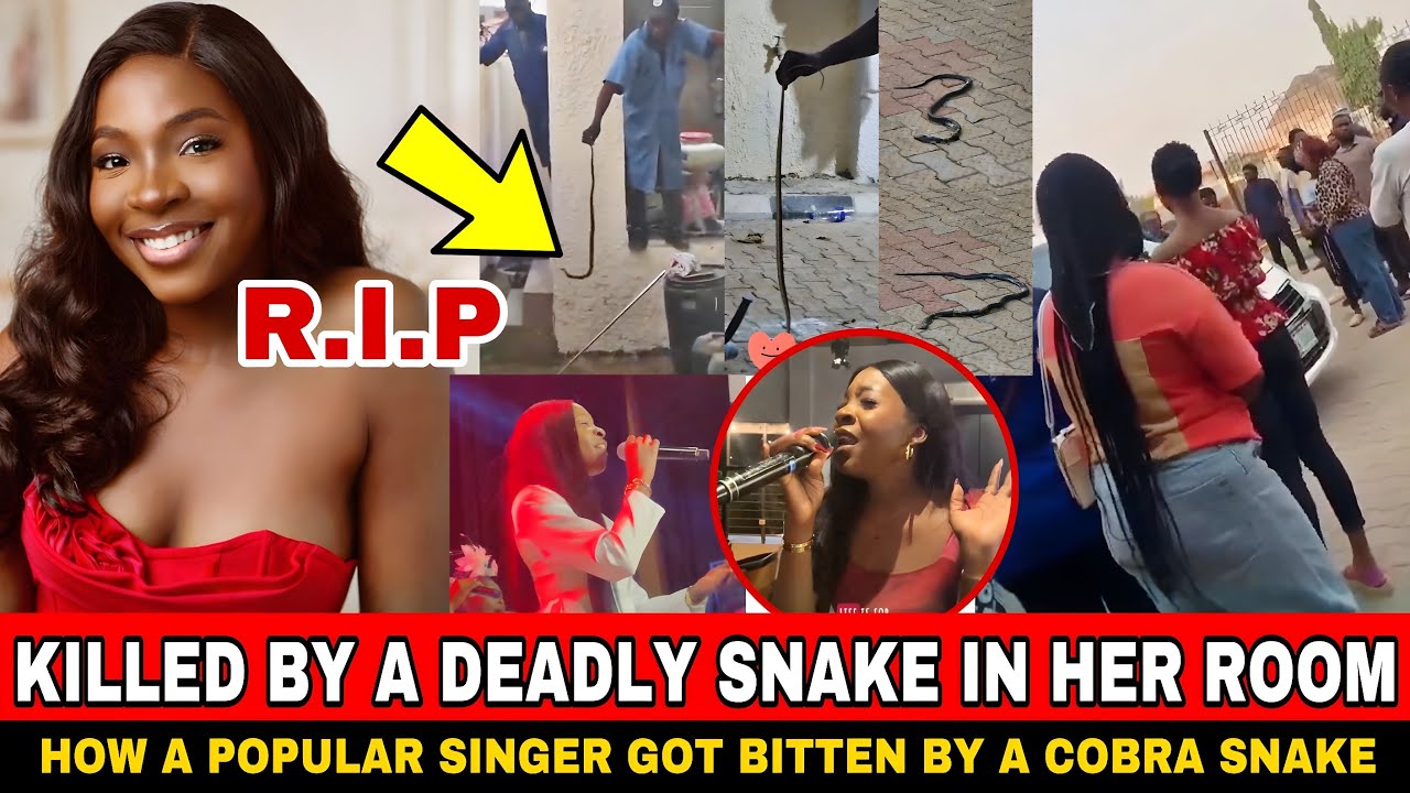 Трагическая смерть нигерийской певицы, укушенной змеей в своей комнате | Ифунанья