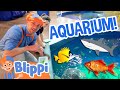 Blippi Visits an Aquarium (Ody Aquarium) | Blippi Full Episodes | Sea Animals for Kids | Blippi Toys