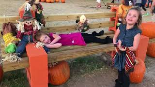 Flower Mound Pumpkin Patch Visit 10/:30/17