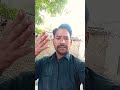 7 अप्रैल 2026