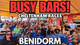 Benidorm - BUSY Pubs & Bars Everywhere!┃Final Day Cheltenham Races