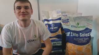Семена подсолнечника ЕС САКСОН под гранстар 50гр. Гибрид устойчив к семи расам заразихи. 0675605115