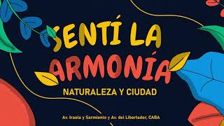 prueba web scroll 15-11