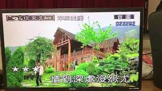 姻緣莫過秋-邱鳳椿1070714