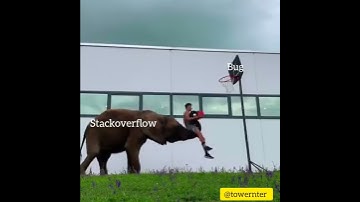 How developers fix bugs