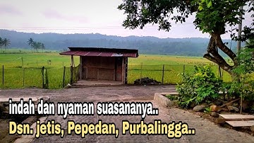 nyamannya suasana di desa, hamparan sawah bak permadani || suasana keindahan alam desa.