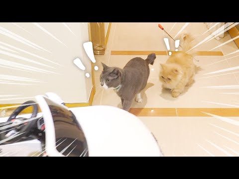 집사야 집 안에 자동차가 왜 있는 건데