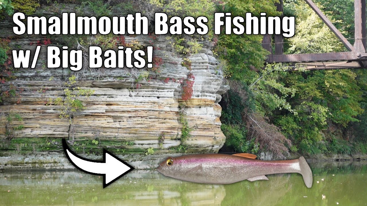 Fall Smallmouth Bass River Fishing w/ Big Baits!