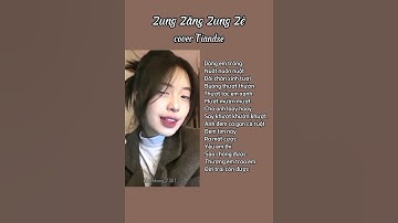 Zung Zăng Zung Zẻ cover