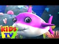 Bob xe lửa cá mập con | Bài hát cho trẻ em | Vần điệu trẻ | Kids Tv Vietnam | Hoạt Hình