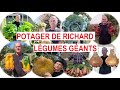 Potager de richard lgumes gants  31 juillet 2022 