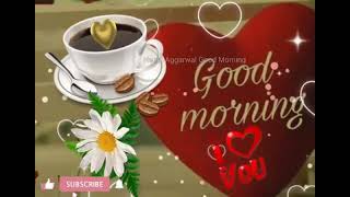 #91 Have a beautiful day, Good Morning Message,Wishes,Greetings,Morning Whatsapp Video,Sms