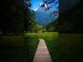 Forests Are Talking 🌍 AI Is Listening | How AI Is Protecting Nature #ai #nature #technology