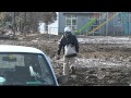 CBS Evening News with Scott Pelley - Japan: one year after the quake and tsunami