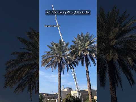 مضخة الخرسانة وصناعة المانية