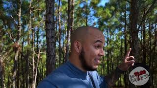 Cómo Llegar Al Bosque De Pinos En Cayey?