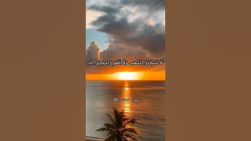 ۚ لَا تَسْجُدُوا لِلشَّمْسِ وَلَا لِلْقَمَرِ وَاسْجُدُوا لِلَّه / القارئ ابراهيم شرف ابوطالب