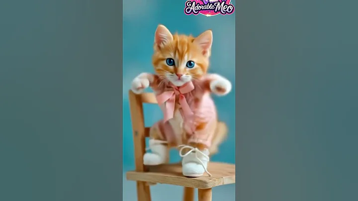 Watch the video about Cute kitten dance #cat #adorably #catlover #adoreble #funny #meaw #cute #miaw #cartoon #cutecat