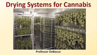 Drying Systems for Cannabis
