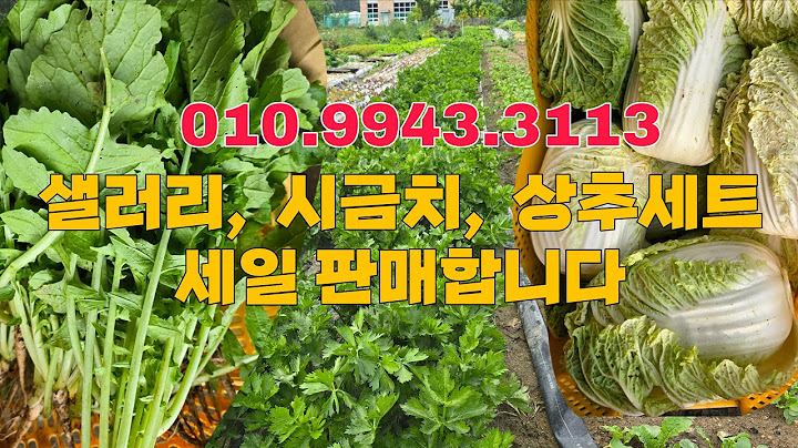 연대파, 상추세트,  시금치,  오이를 판매합니다- 010.9943.3113