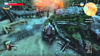 The Witcher 3 Double Kill