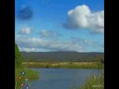 Fried By Flouride Too Far Gone Slowed