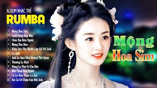 Mộng Hoa Sim , Lướt Sóng Đạp Mây - ALBUM RUMBA 8x9x Hot Tiktok - LK Nhạc Trẻ Rumba Đặc Biệt