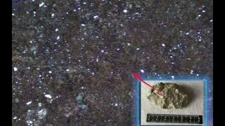 Forensic TOUCH DNA Visualized Collection System OR-GDNA1000