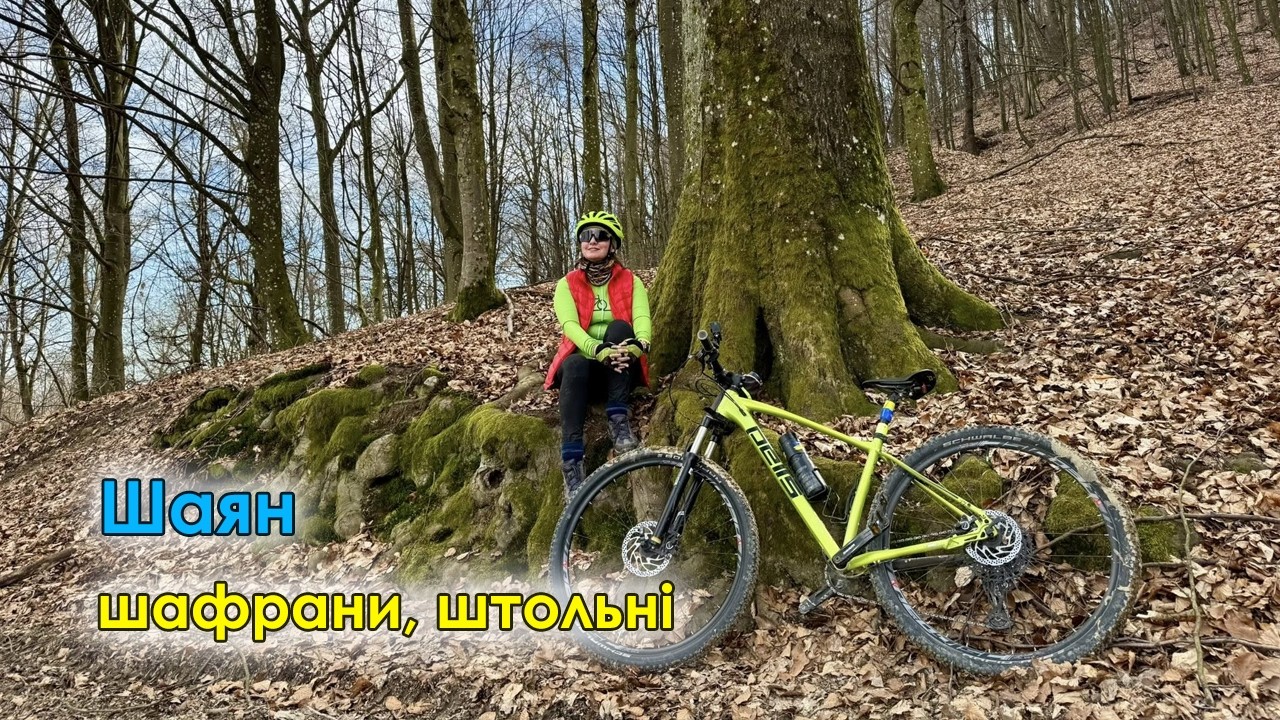 Шаянські гори весною | Шафрани | Штольні