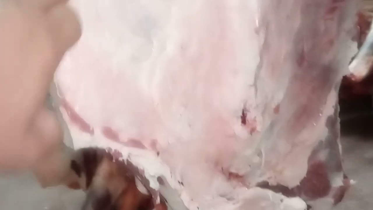 desposte de media res 6