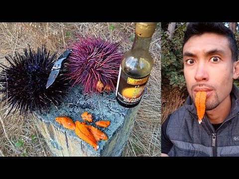 Video: How To Eat A Sea Urchin