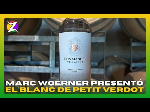 UN VINO UNICO EN SU ESPECIE: BLANC de PETIT VERDOT por BODEGA DON MANUEL VILLAFAÑE