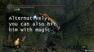 Dark Souls Remastered Hellkite Dragon Wall Kill Glitch